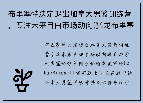 布里塞特决定退出加拿大男篮训练营，专注未来自由市场动向(猛龙布里塞特)
